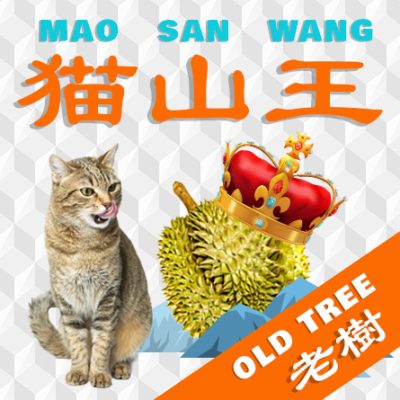 mao-san-wang-old-tree.jpg