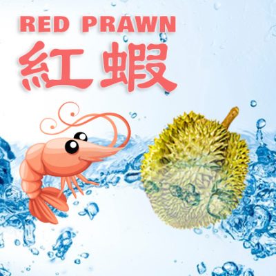 red-prawn.jpg